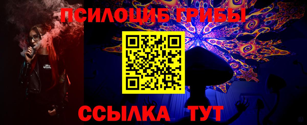 Галлюциногенные грибы Psilocybine cubensis Южно-Сахалинск