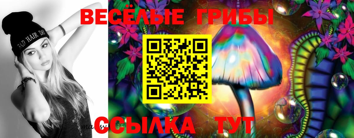 Южно-Сахалинск  Галлюциногенные грибы ЛСД  Галлюциногенные грибы GOLDEN TEACHER  Вход с VPN 